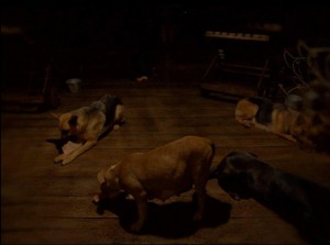 Post-Tenebras-Lux-2