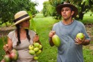 The Fruit Hunters | Review