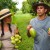 The Fruit Hunters | Review