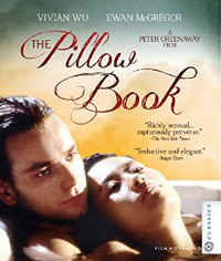 pillow-book-cover