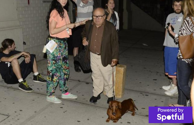 Wiener dog todd sales solondz