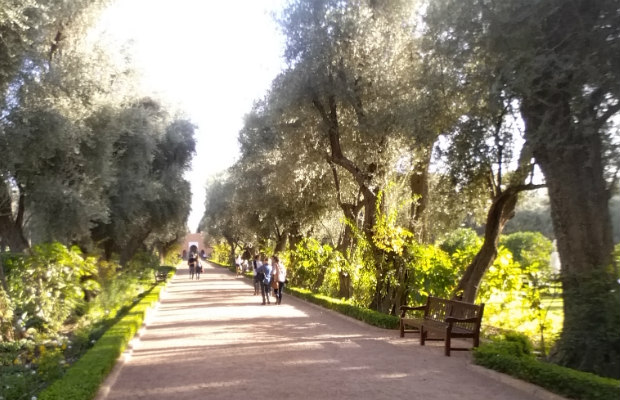 Courtyard Views: 2015 Marrakech Int. Film Fest Snapshot Capsule Day 3