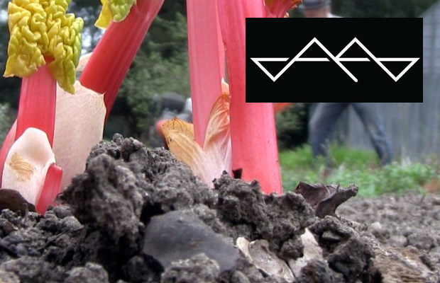 Paired Pear: Grasshopper Film Harvest “Portrait of a Garden”