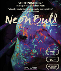 Gabriel Mascaro Neon Bull Review