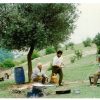 Abbas Kiarostami Koker Trilogy