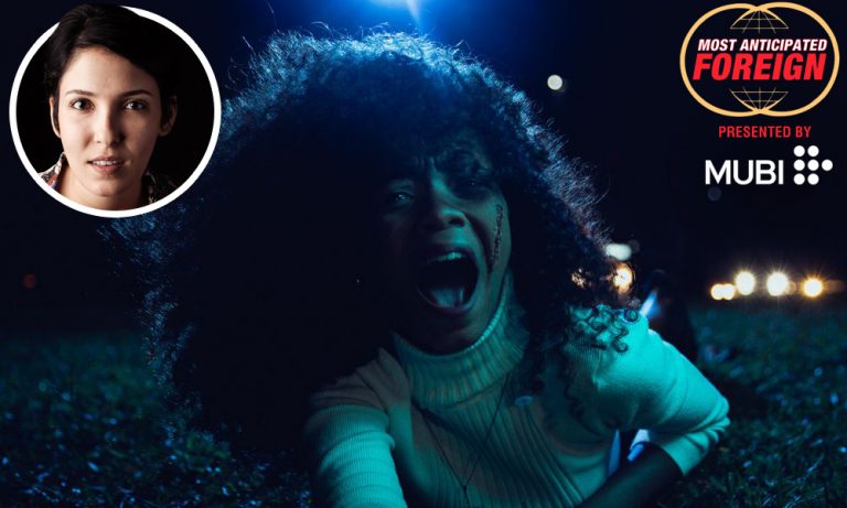 Anita Rocha de Silveira Medusa