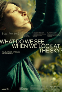 Alexandre Koberidze What Do We See When We Look at the Sky? Review