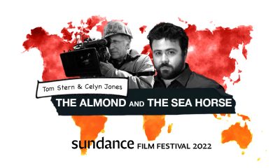 Celyn Jones Tom Stern The Almond And The Sea Horse