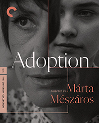 Marta Meszaros Adoption Review
