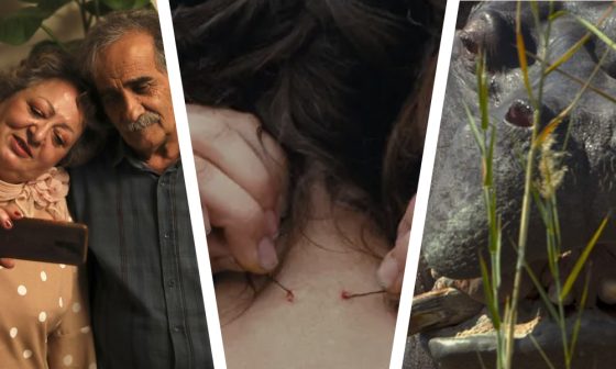 2024 Berlinale: Festival Review Listing Recap