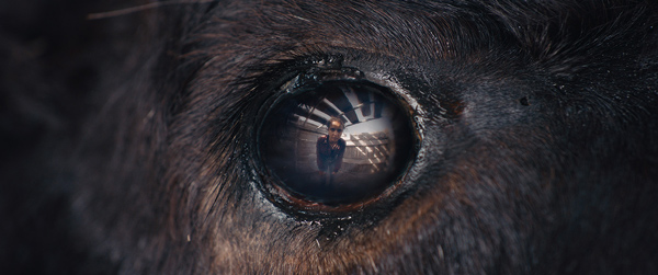 Emma Benestan Animale Movie Review