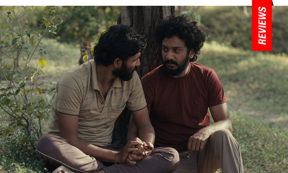 Rohan Parashuram Kanawade Cactus Pears Review