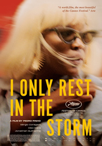 I Only Rest In The Storm Review