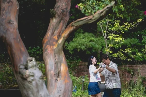 Park Chan-wook No Other Choice Movie Review