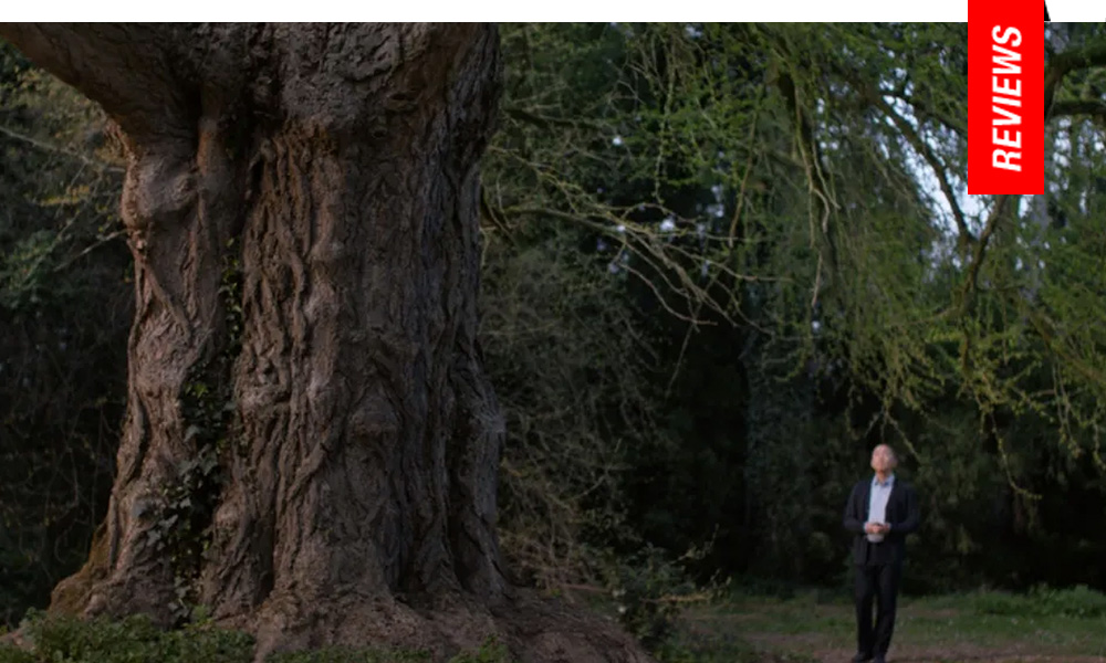 Ildikó Enyedi Silent Friend Review