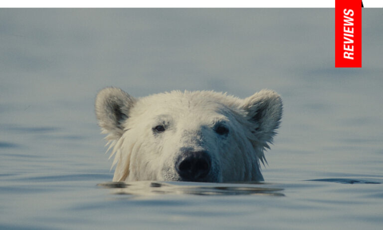 Nuisance Bear | 2026 Sundance Film Festival Review