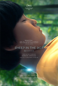 Hirokazu Kore-eda Sheep in the Box Movie Review
