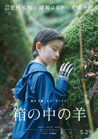 Hirokazu Kore-eda Sheep in the Box Movie Review