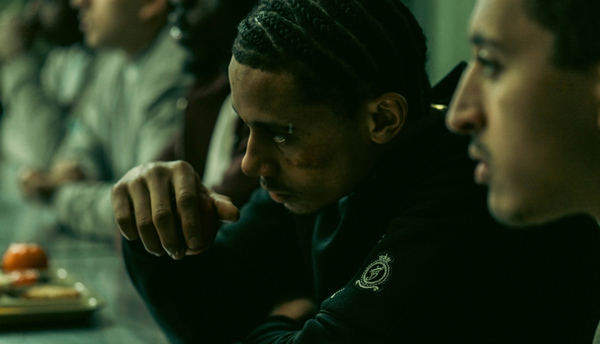 Ashley Walters Animol Review