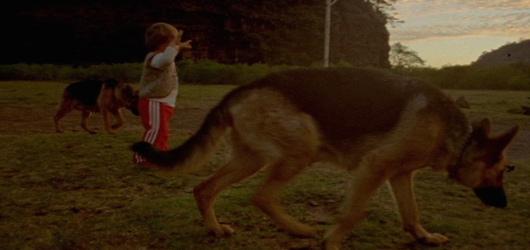 And the Most Anticipated Film of 2012 is… Carlos Reygadas’ Post Tenebras Lux